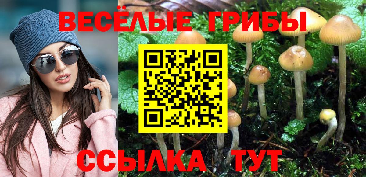 Галлюциногенные грибы Magic Shrooms  Псилоцибиновые грибы GOLDEN TEACHER  Вход с VPN  как найти наркотики  Моршанск 